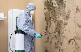 Why You Should Choose Our Mold Remediation Services in Flemington, PA